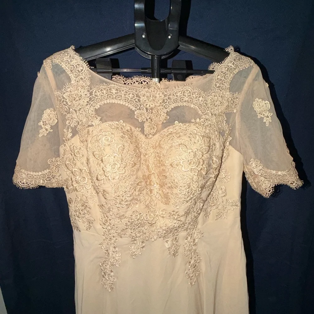 Champagne Lace Formal Dress W/ Sheer Lace Top-Size US 16 Eveng /Wdg. Guest Gown - Picture 5 of 12